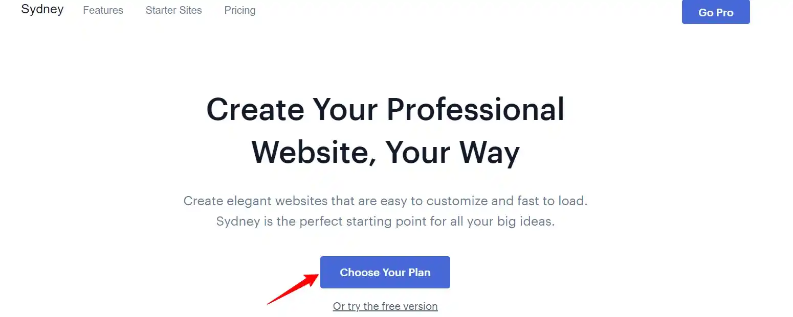 Sydney WordPress Theme Sydney WordPress Theme